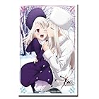 ブシロードスリーブコレクションHG (ハイグレード) Vol.200 Fate/Zero 『アイリスフィール&イリヤスフィール』