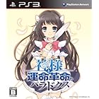 神様と運命革命のパラドクス (初回限定版) - PS3