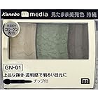 【カネボウ】 メディア グラデカラーアイシャドウ GN-01 1個 (x 1)