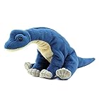 カロラータ ブラキオサウルス ぬいぐるみ (Sサイズ/おすわりシリーズ/やさしい手触り) リアル 恐竜 おもちゃ お人形 ギフト プレゼント 誕生日 (検針2度済み)