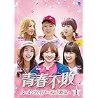 青春不敗シーズンファイナル　DVD-BOX1