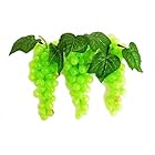 ぶどう 葡萄 サンプル 本物そっくり 食品サンプル フルーツ 果物 ディスプレイ 飾り 3個セット /Ｖ517 (グリーン・緑)