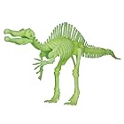 イメージミッション木鏡社 グロー恐竜骨格 スピノサウルス VT056