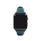 SLG Design(エスエルジーデザイン) Apple Watch バンド 38mm/40mm用 Italian Minerva Box Leather ブルー SD18394AW