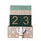 [Queen-b] 万年 カレンダー 日めくり 卓上 おしゃれ ホーム オフィス デスク インテリア 飾り 装飾 シンプル デザイン ナチュラル ウッド 木製 (サボテン)