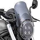 デイトナ(Daytona) バイク用 スクリーン レブル250/500(20-21) エアロバイザー スモーク 17733