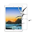 【2枚セット】iPad 10.2 強化ガラス保護フィルム 旭硝子社素材 高透過率 指紋防止 2019 第七世代 第八世代 第九世代 アイパッド10.2インチ【全面保護/貼り付け簡単/高透過率/気泡ゼロ/旭硝子/改良型/硬度9H】