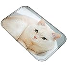 [ねこタウン] 猫ちゃんバスマット かわいい 玄関マット リアル 写真 癒し フランネル素材 フロアマット 足ふきマット 吸水 (40㎝×60㎝ タイプD)