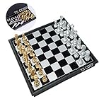 [TS.CORP] チェス マグネット チェスボード 折りたたみ チェスセット 日本語説明書付き（金＆銀）