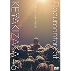 僕たちの嘘と真実 Documentary of 欅坂46 DVDスペシャル・エディション(2枚組)(初回仕様限定盤)