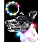 Qbit LED 犬光る首輪 【視認距離400mで夜間も安心】 犬 猫 光る 首輪 ライト 夜 散歩USB 充電式 小型犬 中型犬 大型犬 サイズ調節可能 虹色