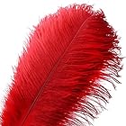 10個の天然ダチョウの羽のプルーム-16-18インチ（40-45cm）結婚式のセンターピースの家の装飾 (40-45cm,赤)