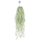 Kugusa エアープランツ 造花 人工 観葉植物 吊り下げ インテリア 装飾 フェイクグリーン (スパニッシュモス大)