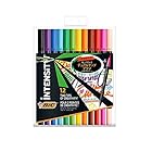 ビック(Bic) 水性 ペン 筆ペン 塗り絵 カラー セット Intensity デュアルチップ マーカー 12色 ITS-DUTCMPK12