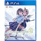 【PS4】BLUE REFLECTION TIE/帝 【Amazon.co.jp限定】A4クリアファイル