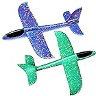 [TradeWind] 手投げ飛行機 グライダー 飛行機 プレーン 手投げ 組み立て 公園遊び 模型 航空機 水平飛行 回転飛行 おもちゃ(青/緑)