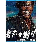 大河ドラマ青天を衝け 完全版 第弐集 DVD BOX