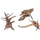水族館シンクエイブル流木水槽の装飾 自然流木 爬虫類 3個入り 中 20-25cm