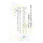 [メイドインたんたん] 喪中はがき 10枚 年賀状じまい文 手書き記入タイプ 私製はがき 切手なし10枚 裏面印刷済み あやめ