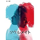 ソウルメイト/七月と安生[DVD]