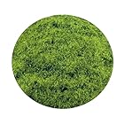 グリーンスタッフワールド スタティックグラス2-3mm 春の草(200ml) ホビー用素材 GSWD-11144
