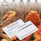 LIKZINWA UVセンサーカード 2パック テストカード 爬虫類ランプ UVセンサー 爬虫類 UVB 蛍光ランプ ひげ付きドラゴン トカゲ 爬虫類用