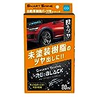 シーシーアイ 車用 コーティング剤 スマートシャイン RE:BLACK