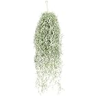 KINOKINO エアープランツ スパニッシュモス 造花 フェイクグリーン 吊り下げ 壁掛け 観葉植物 インテリア (約80cm)