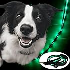 TERUI Lights 光る リード 犬 LED 充電式 USB ライト ペットの夜のお散歩に最適 1.2m 1サイズ 小型犬 中型犬 大型犬 用品 蛍光 (グリーン)