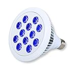 Lezalic LED 電球 スポットライト 24W（2W×12灯） 水槽 照明 E26 電気 サンゴ 熱帯魚 観賞魚 植物育成 (電球_ブルー)