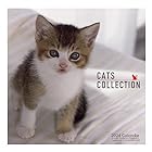 2024年 Cats Collectionカレンダー(辰巳出版) No.064