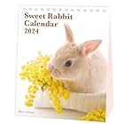 アクティブコーポレーション 2024年 カレンダー 卓上 Sweet Rabbit 24ACL-571 2024年 1月始まり