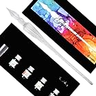 ZAIDEA ガラスペン ディップペン つけペン ４色インク付き 贈り物 プレゼント ペン (4/クリア)