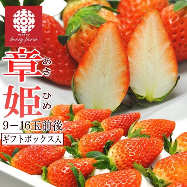 章姫　苺　イチゴ　いちご　送料無料　　9-16粒入　長野県産