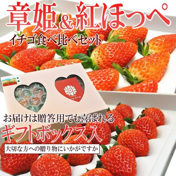 イチゴ　いちご　苺　食べ比べ　セット　　章姫＆紅ほっぺ　ギフトボックス