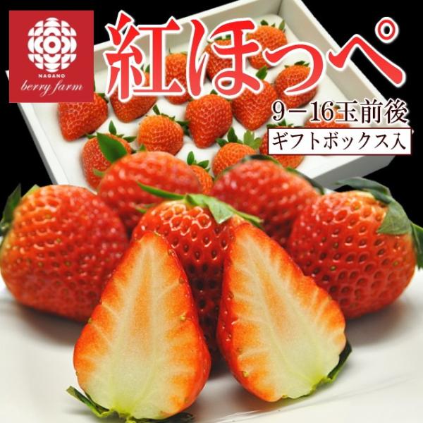 紅ほっぺ　苺　イチゴ　いちご　送料無料　　9-16粒入　長野県産　予約受付開始