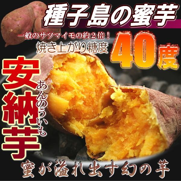 安納芋 送料無料 2kg 鹿児島県 種子島産 安納 芋 蜜芋 2個購入で1キロおまけ！
