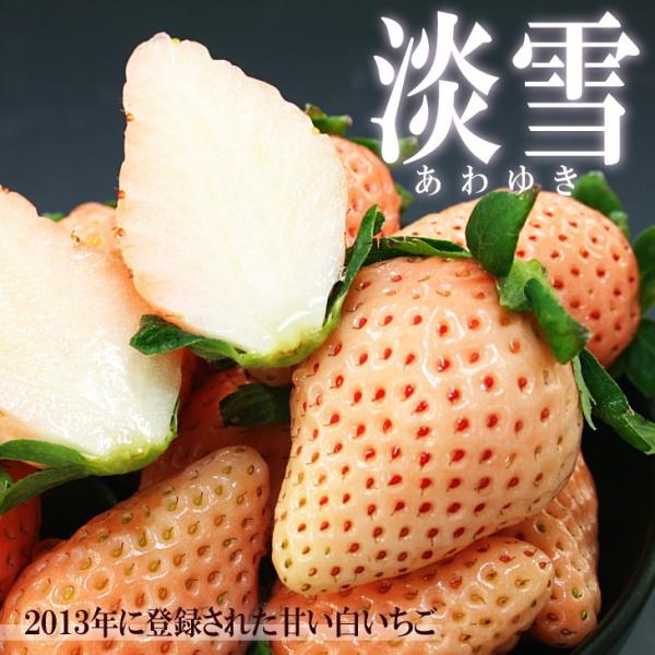 淡雪 いちご イチゴ 送料無料 熊本県産 200g×2パック M～3Ｌサイズ