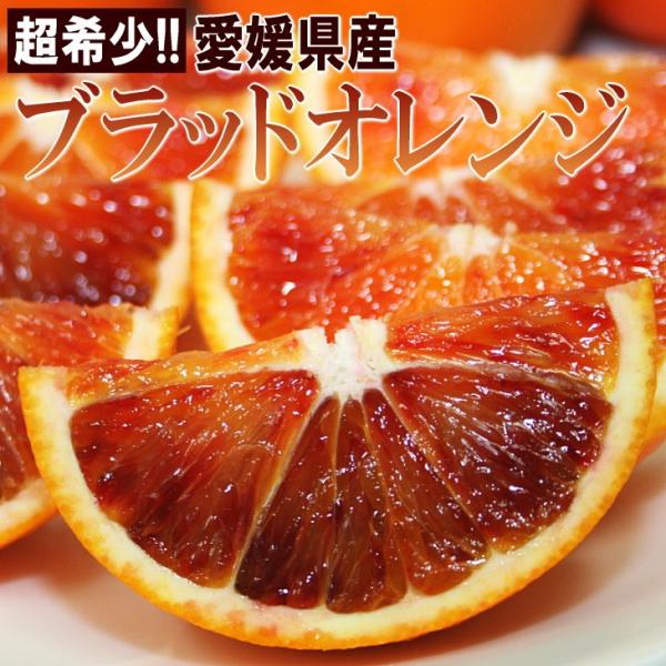 愛媛県産 ブラッドオレンジ 5kg 秀品 L-3Lサイズ 24-40玉前後