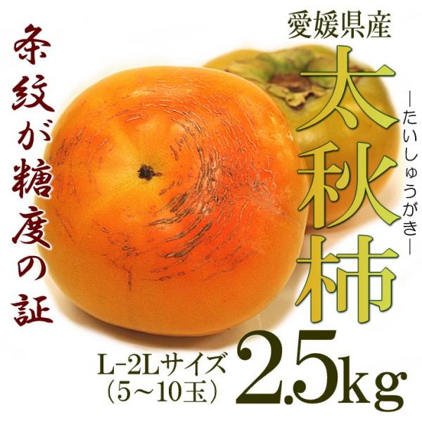 愛媛県産　太秋柿 2.5kg　訳あり　Ｌ-２Ｌサイズ