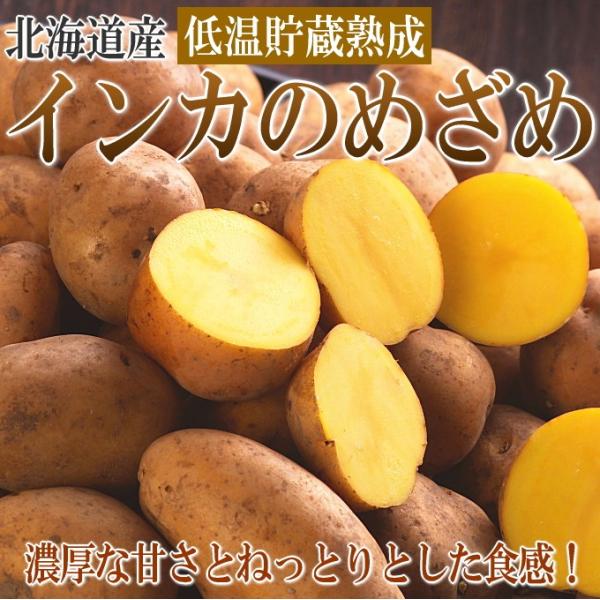 北海道産 インカのめざめ ジャガイモ 10kg 低温貯蔵熟成