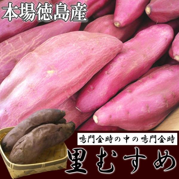 里むすめ 鳴門金時 さつまいも サツマイモ 5kg 徳島県産