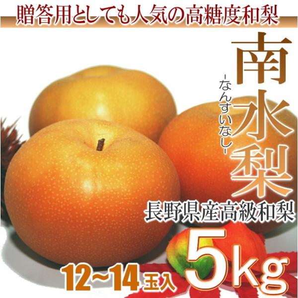 長野県産　南水梨5kg　12-14玉入
