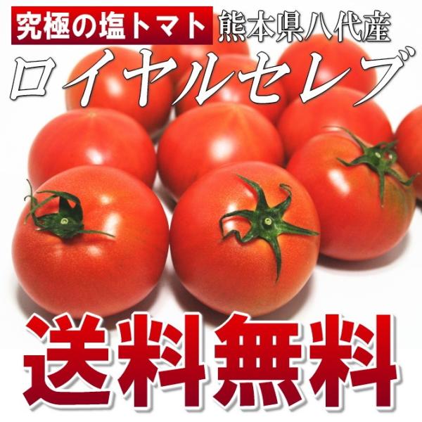 塩トマト ロイヤルセレブトマト 送料無料 M-Sサイズ 11～16玉入