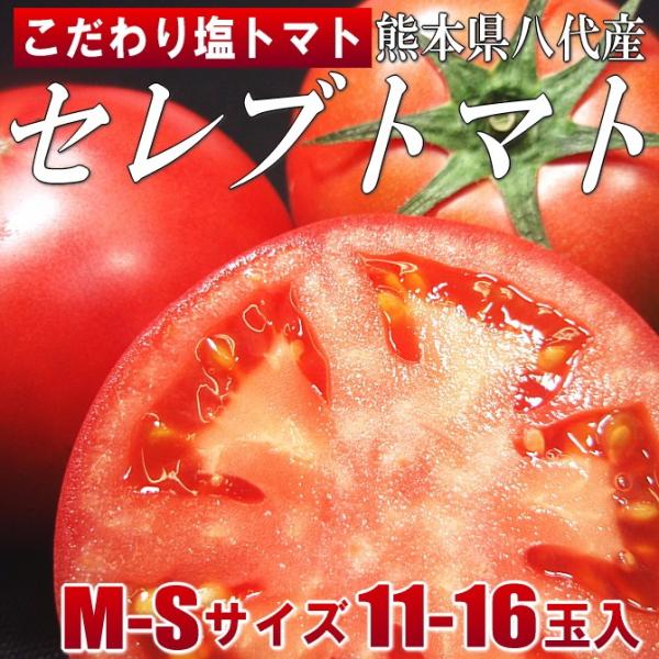 塩トマト セレブトマト ト 送料無料 M-Sサイズ 11～16玉入 熊本県産