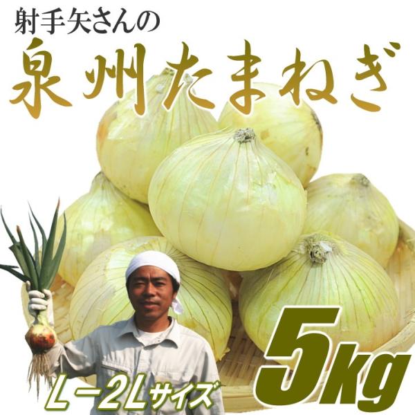 たまねぎ 5kg L-2Lサイズ 大阪泉州 射手矢さん エコ栽培 玉ねぎ タマネギ 玉葱