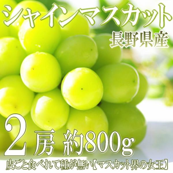シャインマスカット 長野県産 約800g 2房 マスカット ぶどう ブドウ