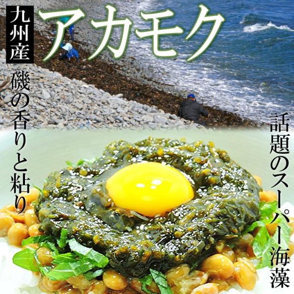 九州産　アカモク　ギバサ　100g×5パック