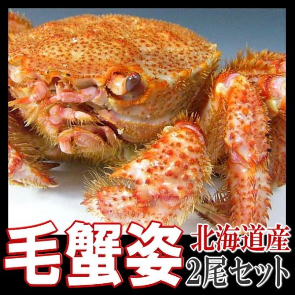 毛がに　毛ガニ　毛蟹　カニ　姿　　特大２尾セット　北海道産　ボイル