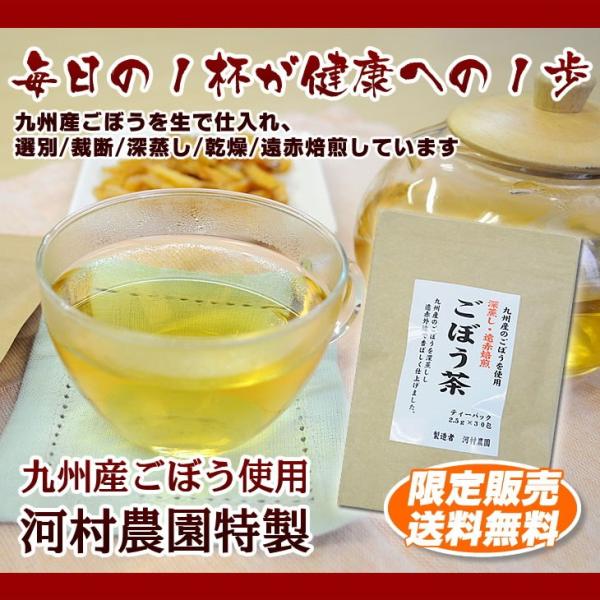 ごぼう茶 送料無料 75g 2.5g×30包 健康 美容 100%九州産ごぼう使用 ゴボウ茶 健康茶